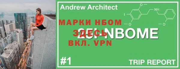 хмурый Алексин
