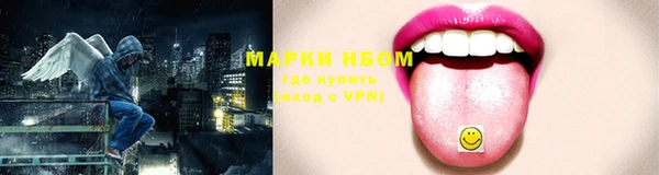 хмурый Алексин