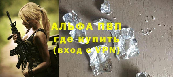 хмурый Алексин