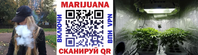 Купить где  Каспийск  Бошки Шишки OG Kush 